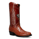 Combo Botas 901 Punta J Imitacion Avestruz Shedron
